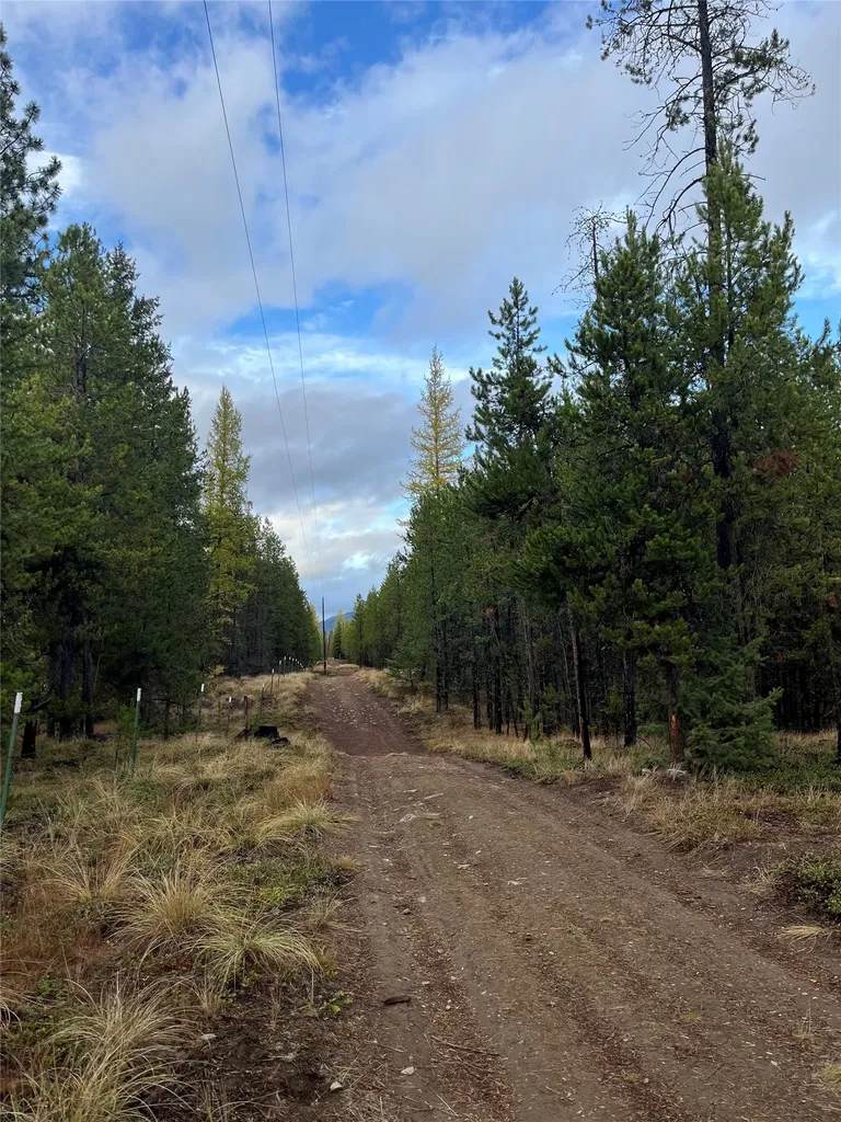 327 Lower Lost Prairie Road Marion MT 59925