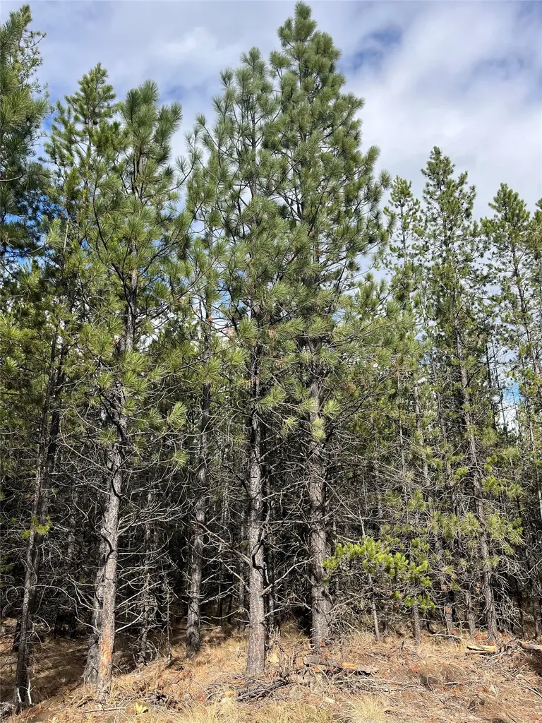 327 Lower Lost Prairie Road Marion MT 59925