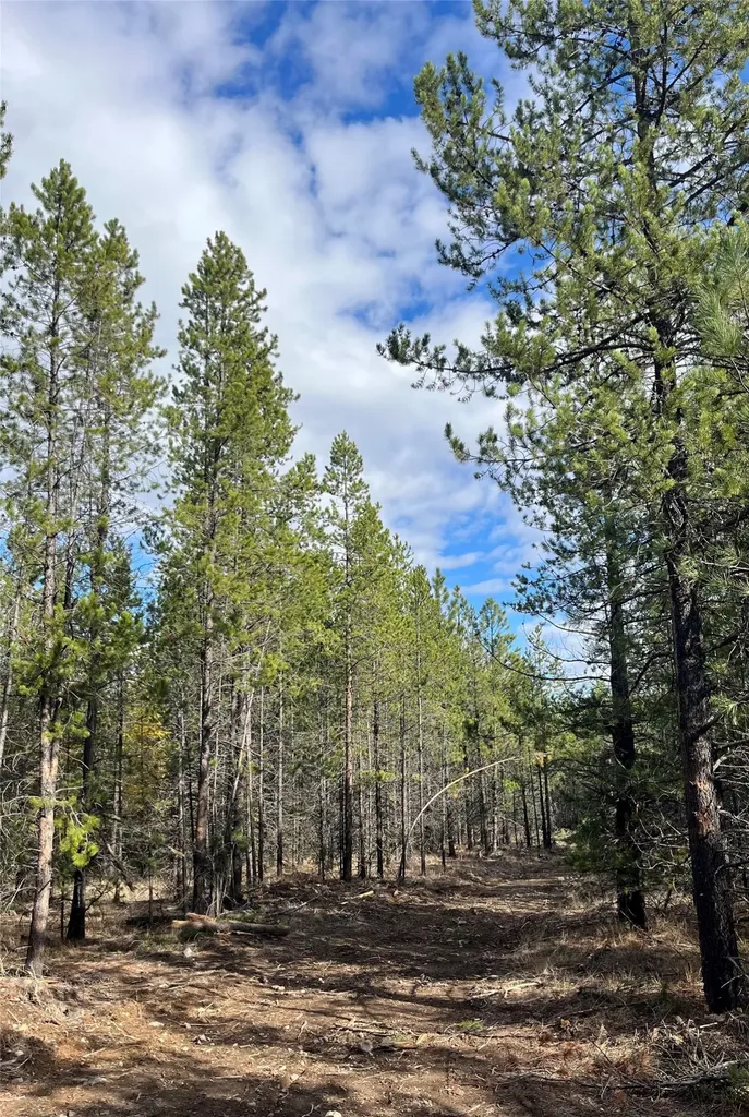 327 Lower Lost Prairie Road Marion MT 59925
