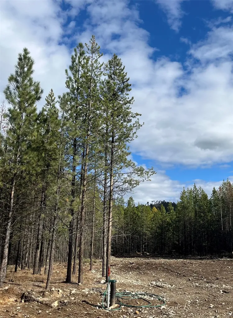 327 Lower Lost Prairie Road Marion MT 59925