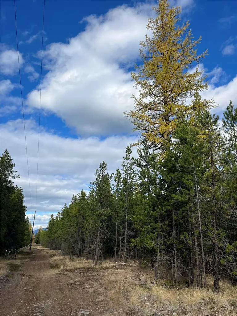 327 Lower Lost Prairie Road Marion MT 59925