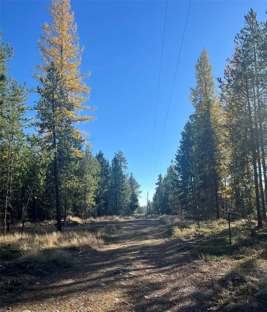 327 Lower Lost Prairie Road Marion MT 59925
