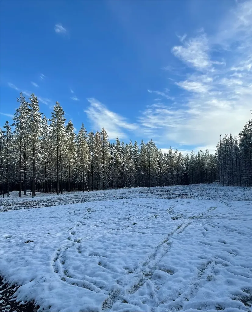 327 Lower Lost Prairie Road Marion MT 59925