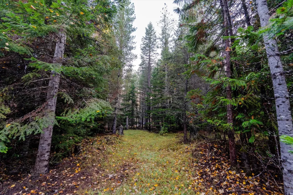 Nhn Northshore Drive Troy MT 59935