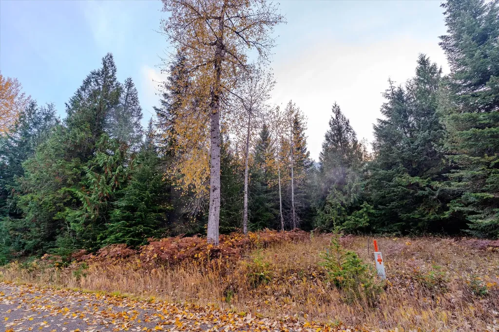 Nhn Northshore Drive Troy MT 59935