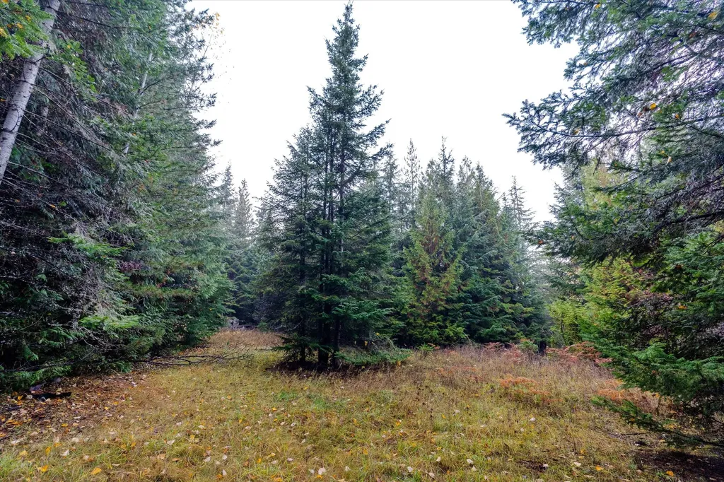 Nhn Northshore Drive Troy MT 59935