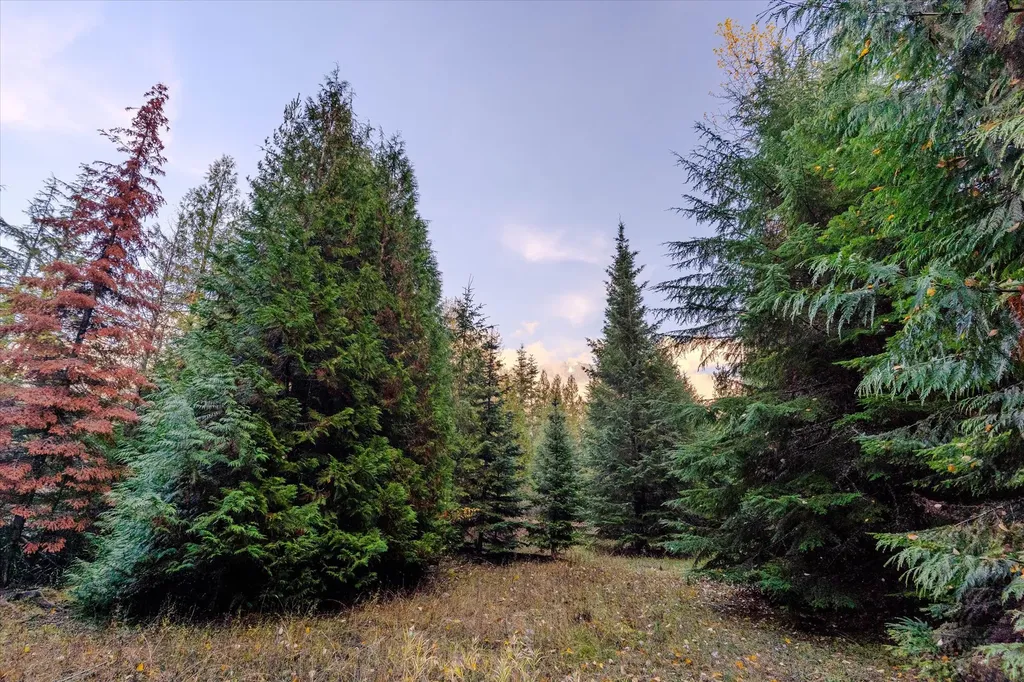 Nhn Northshore Drive Troy MT 59935