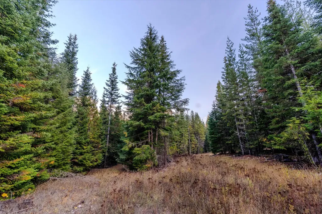 Nhn Northshore Drive Troy MT 59935