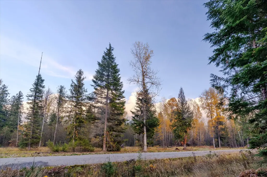 Nhn Northshore Drive Troy MT 59935