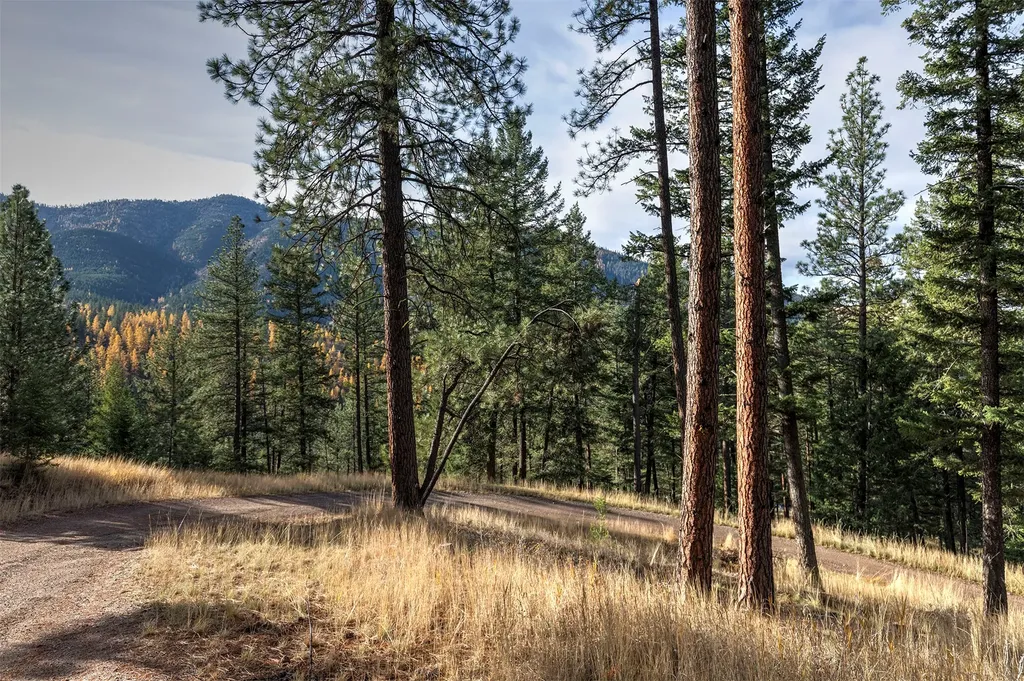 Parcel 3b Snowshoe Lane Missoula MT 59801