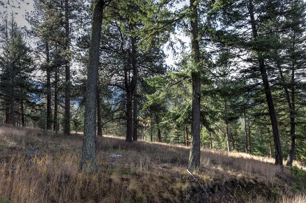 Parcel 3b Snowshoe Lane Missoula MT 59801