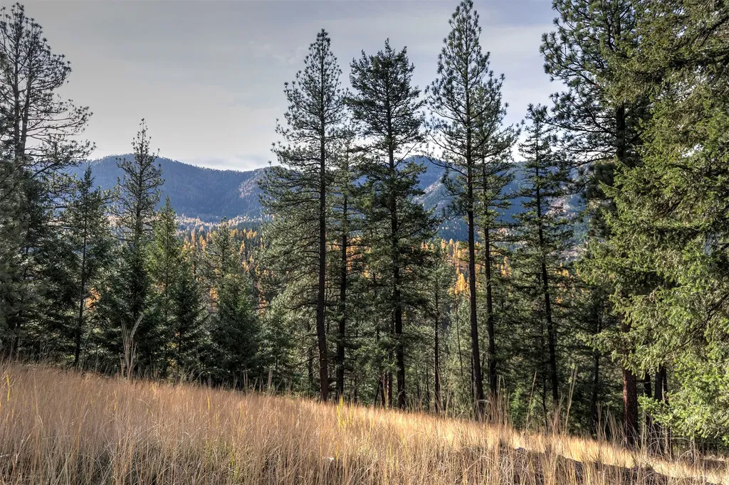 Parcel 3b Snowshoe Lane Missoula MT 59801