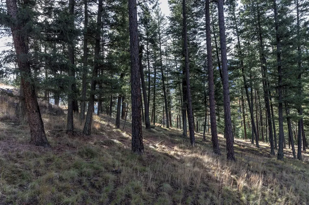 Parcel 3b Snowshoe Lane Missoula MT 59801