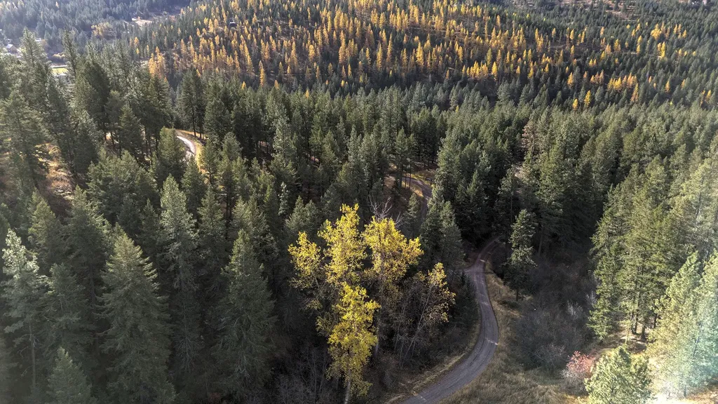 Parcel 3b Snowshoe Lane Missoula MT 59801
