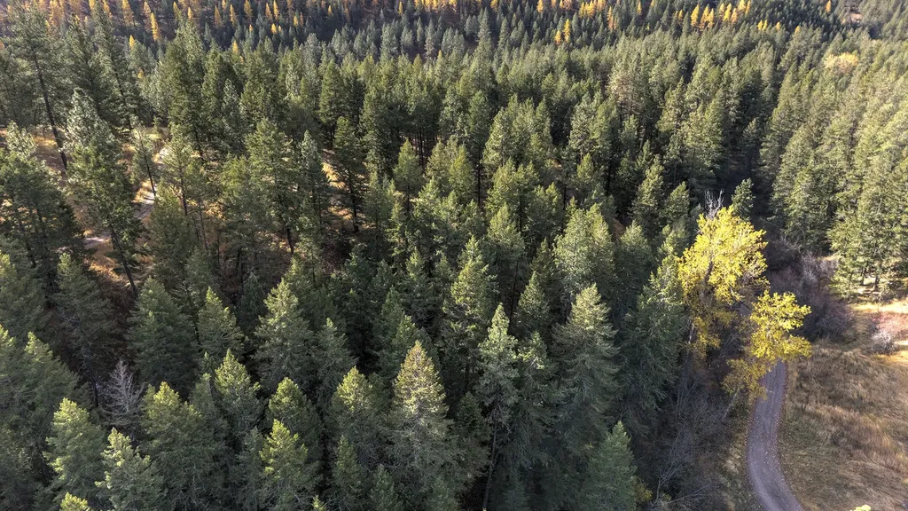 Parcel 3b Snowshoe Lane Missoula MT 59801
