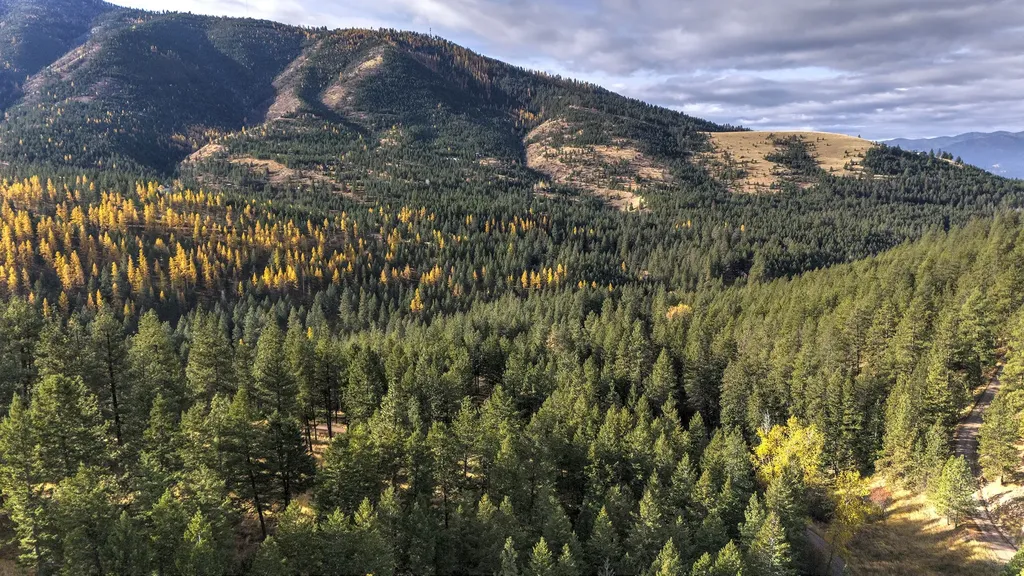 Parcel 3b Snowshoe Lane Missoula MT 59801