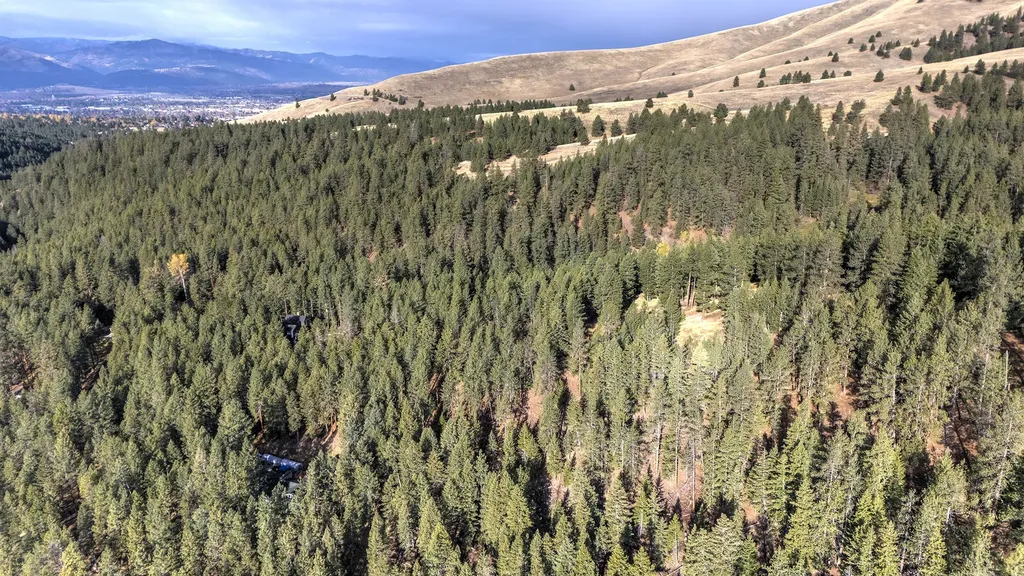 Parcel 3b Snowshoe Lane Missoula MT 59801