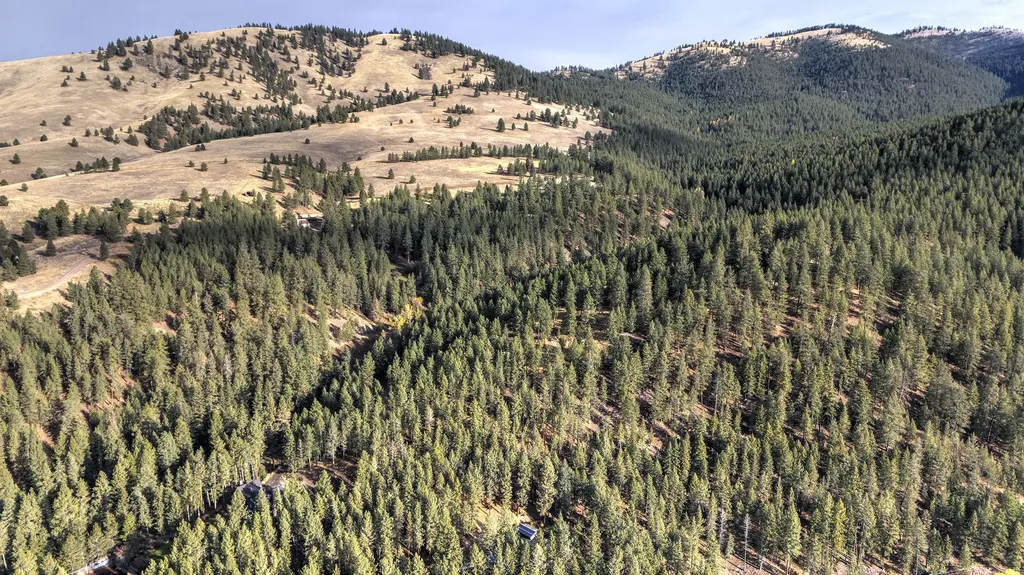 Parcel 3b Snowshoe Lane Missoula MT 59801
