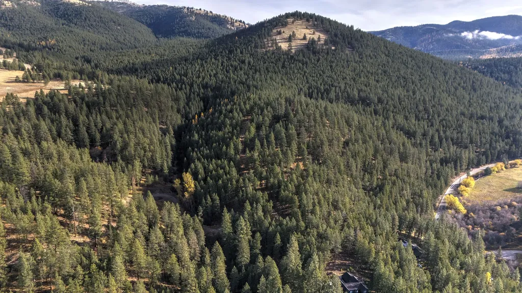 Parcel 3b Snowshoe Lane Missoula MT 59801