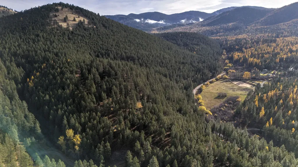 Parcel 3b Snowshoe Lane Missoula MT 59801