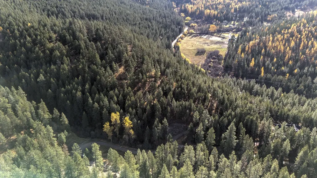 Parcel 3b Snowshoe Lane Missoula MT 59801