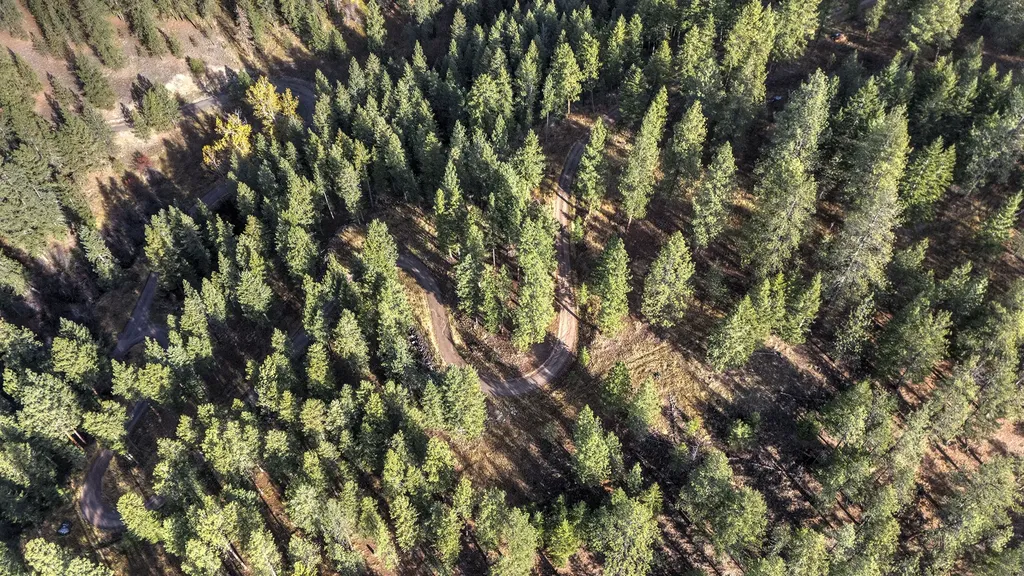 Parcel 3b Snowshoe Lane Missoula MT 59801