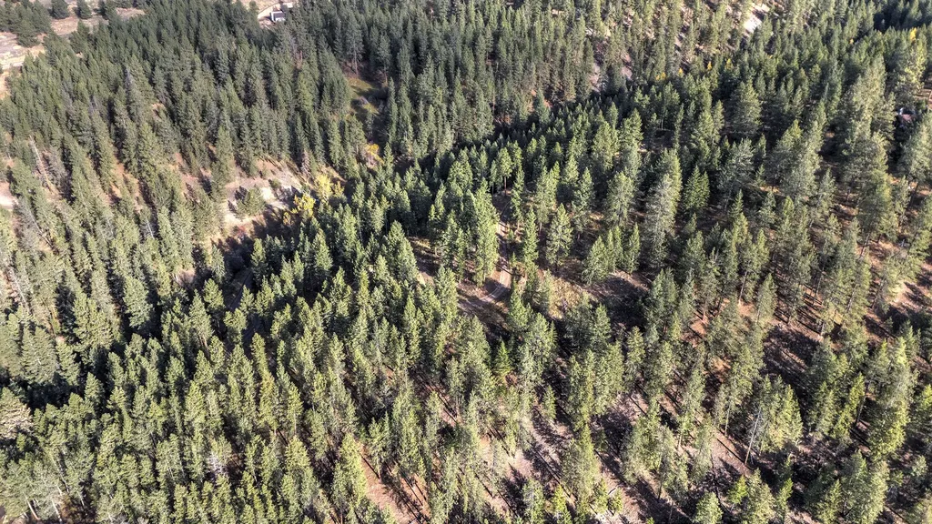 Parcel 3b Snowshoe Lane Missoula MT 59801