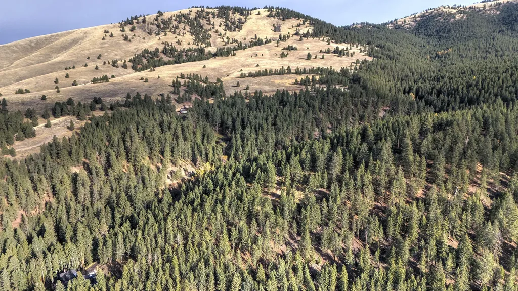 Parcel 3b Snowshoe Lane Missoula MT 59801