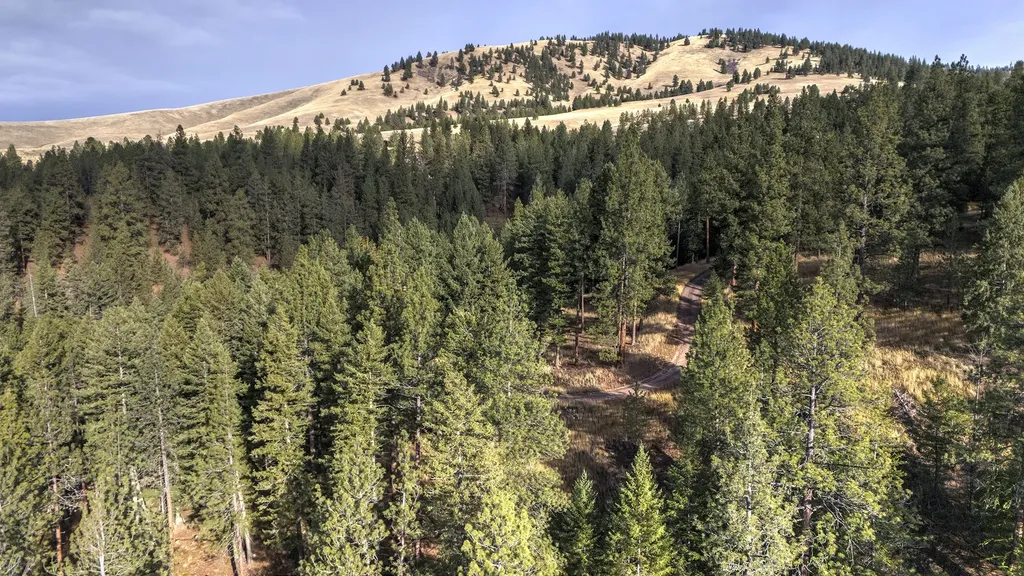 Parcel 3b Snowshoe Lane Missoula MT 59801