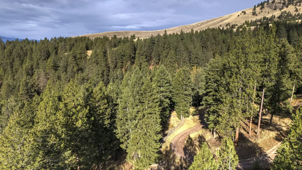 Parcel 3b Snowshoe Lane Missoula MT 59801