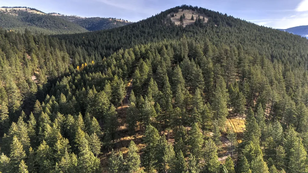 Parcel 3b Snowshoe Lane Missoula MT 59801