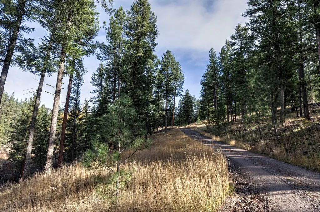 Parcel 3b Snowshoe Lane Missoula MT 59801