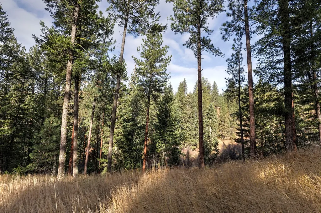 Parcel 3b Snowshoe Lane Missoula MT 59801