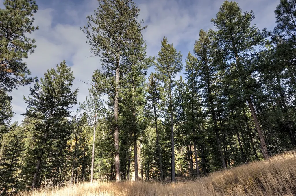 Parcel 3b Snowshoe Lane Missoula MT 59801