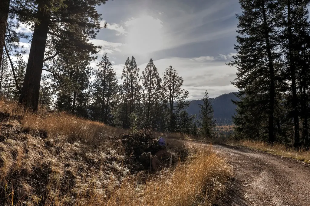Parcel 3b Snowshoe Lane Missoula MT 59801