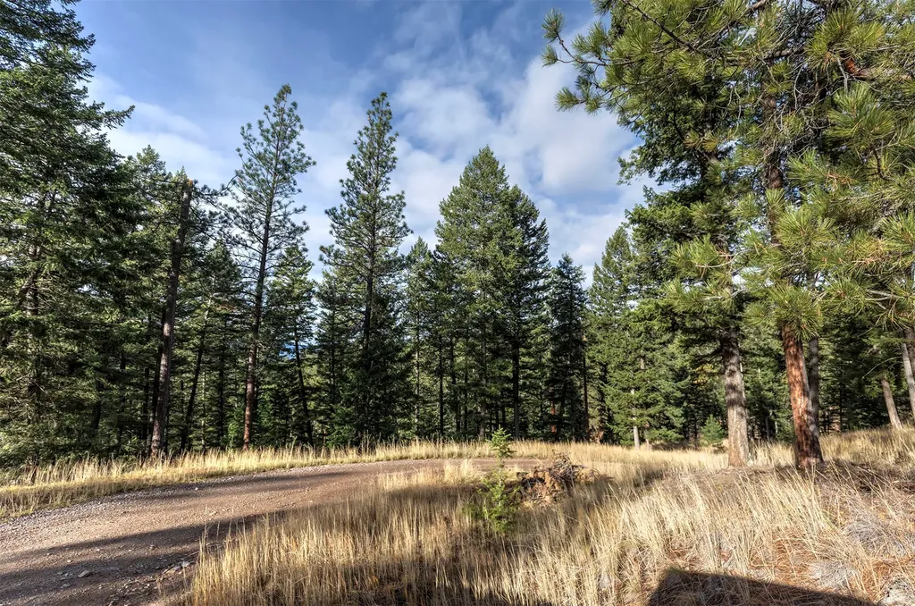Parcel 3b Snowshoe Lane Missoula MT 59801