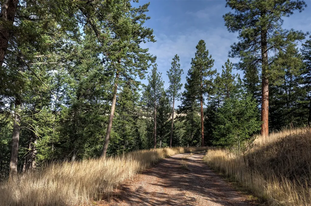 Parcel 3b Snowshoe Lane Missoula MT 59801