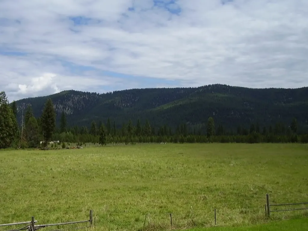 160 Majestic Mountain Drive Libby MT 59923