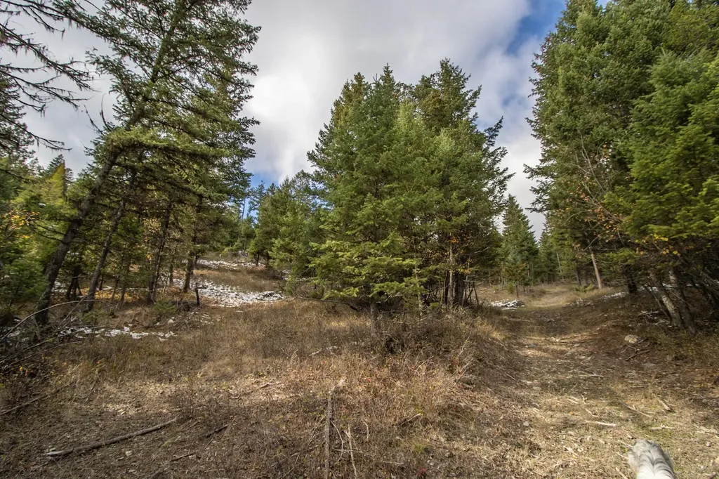 Nhn Copper Road Kalispell MT 59901