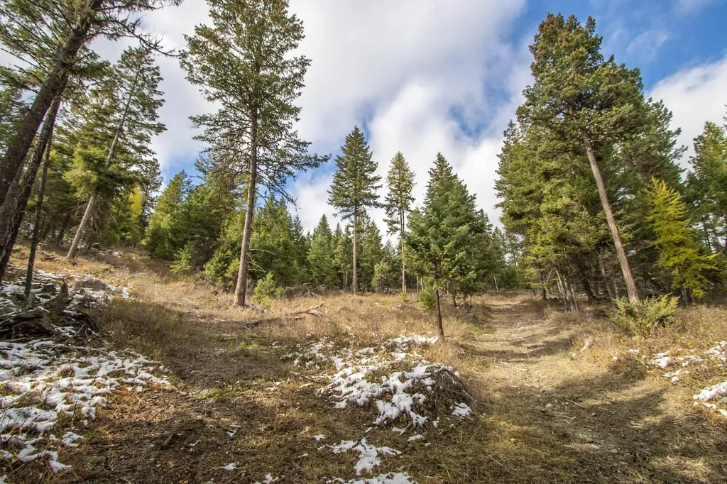 Nhn Copper Road Kalispell MT 59901