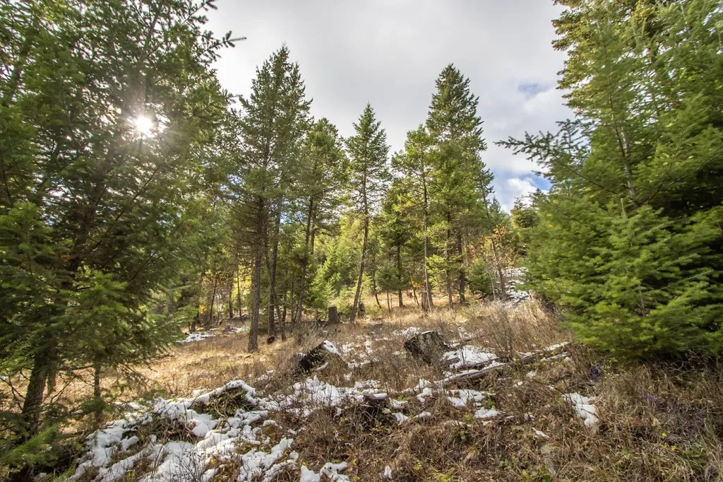 Nhn Copper Road Kalispell MT 59901