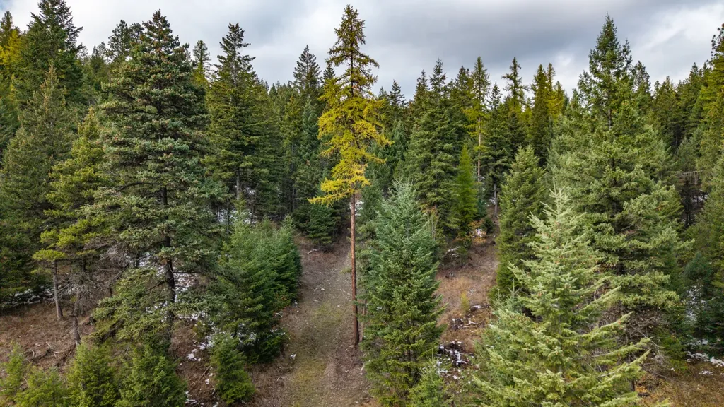 Nhn Copper Road Kalispell MT 59901
