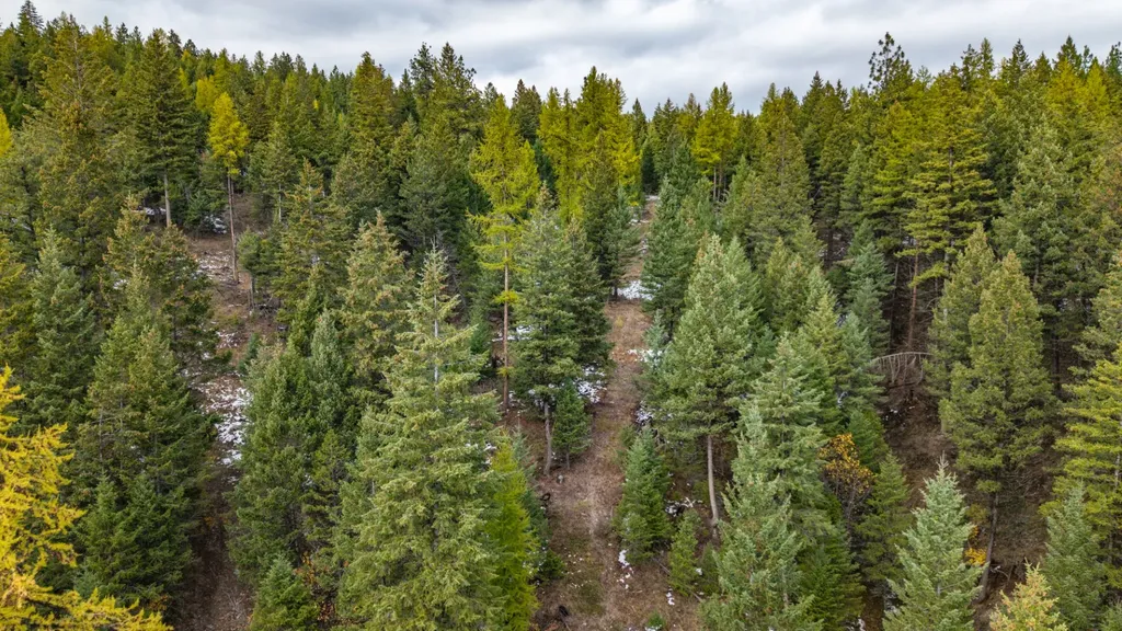 Nhn Copper Road Kalispell MT 59901