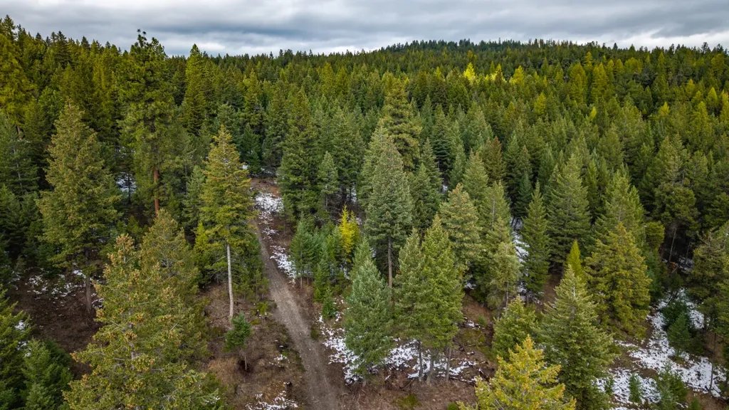 Nhn Copper Road Kalispell MT 59901