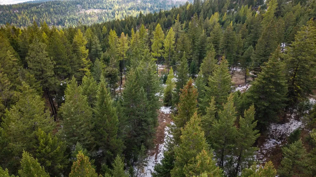 Nhn Copper Road Kalispell MT 59901