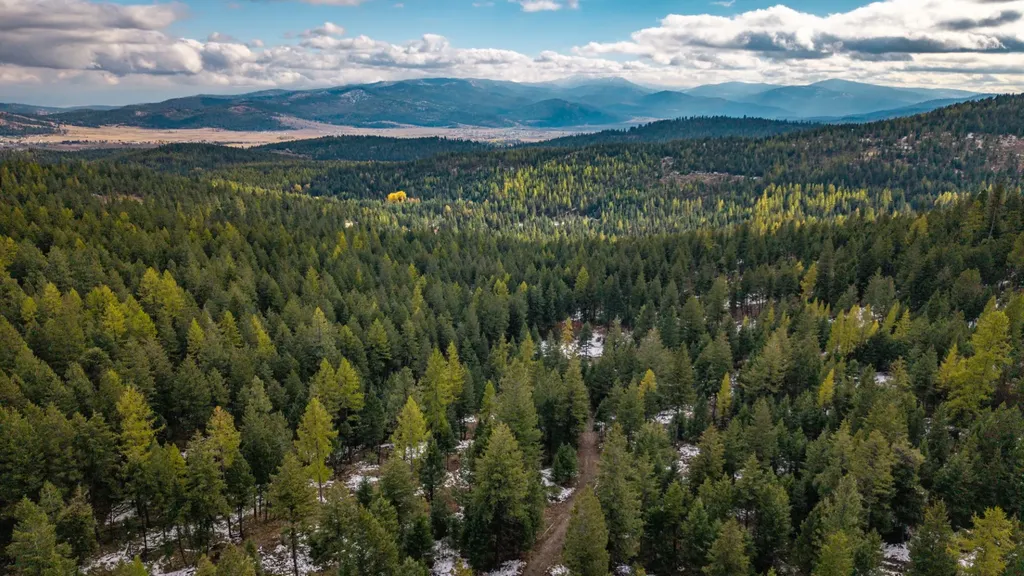 Nhn Copper Road Kalispell MT 59901
