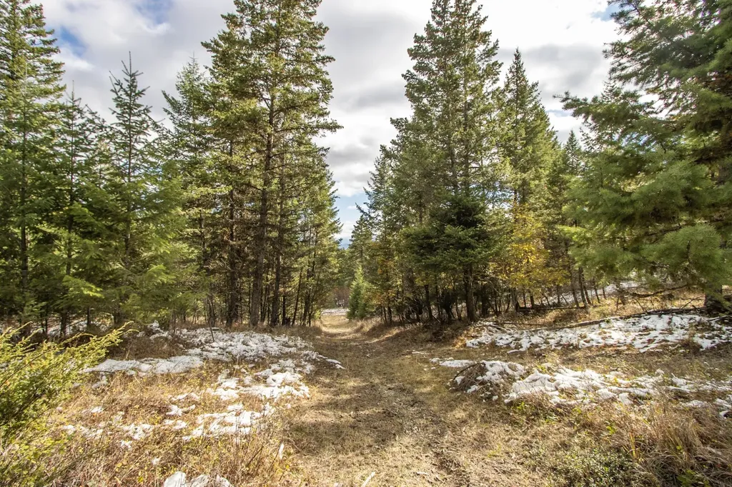 Nhn Copper Road Kalispell MT 59901