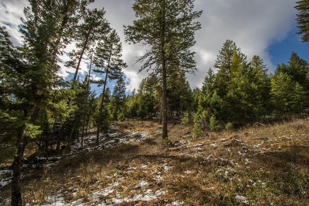 Nhn Copper Road Kalispell MT 59901