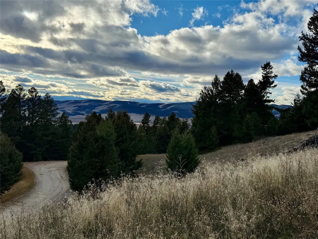 Lot 1 Scranton Lode Philipsburg MT 59858