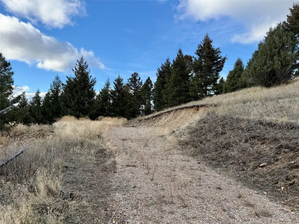 Lot 1 Scranton Lode Philipsburg MT 59858